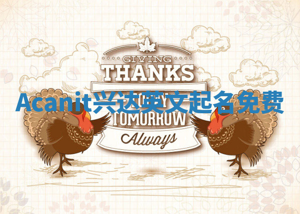 Acanit兴达英文起名免费