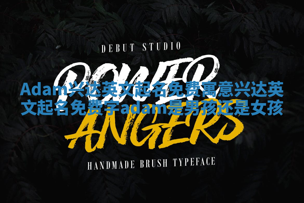 Adam兴达英文起名免费寓意 兴达英文起名免费字adam是男孩还是女孩