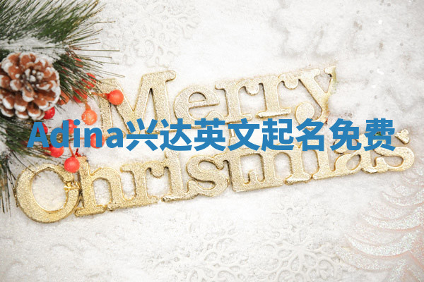 Adina兴达英文起名免费