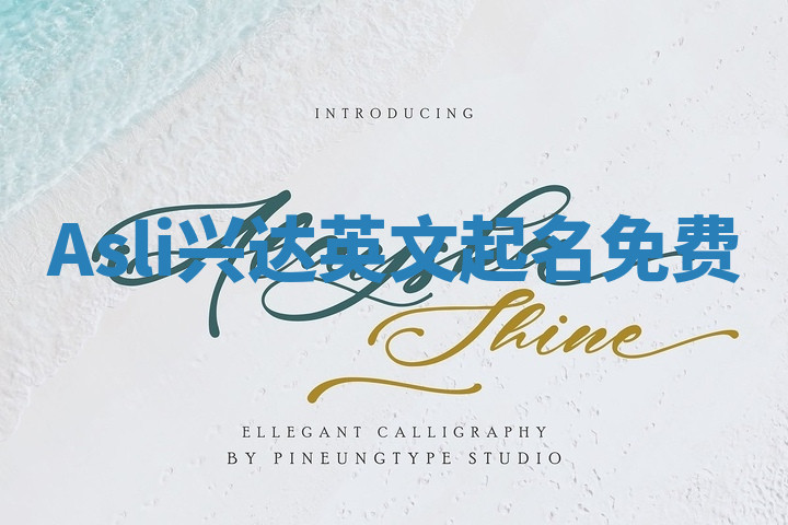 Asli兴达英文起名免费