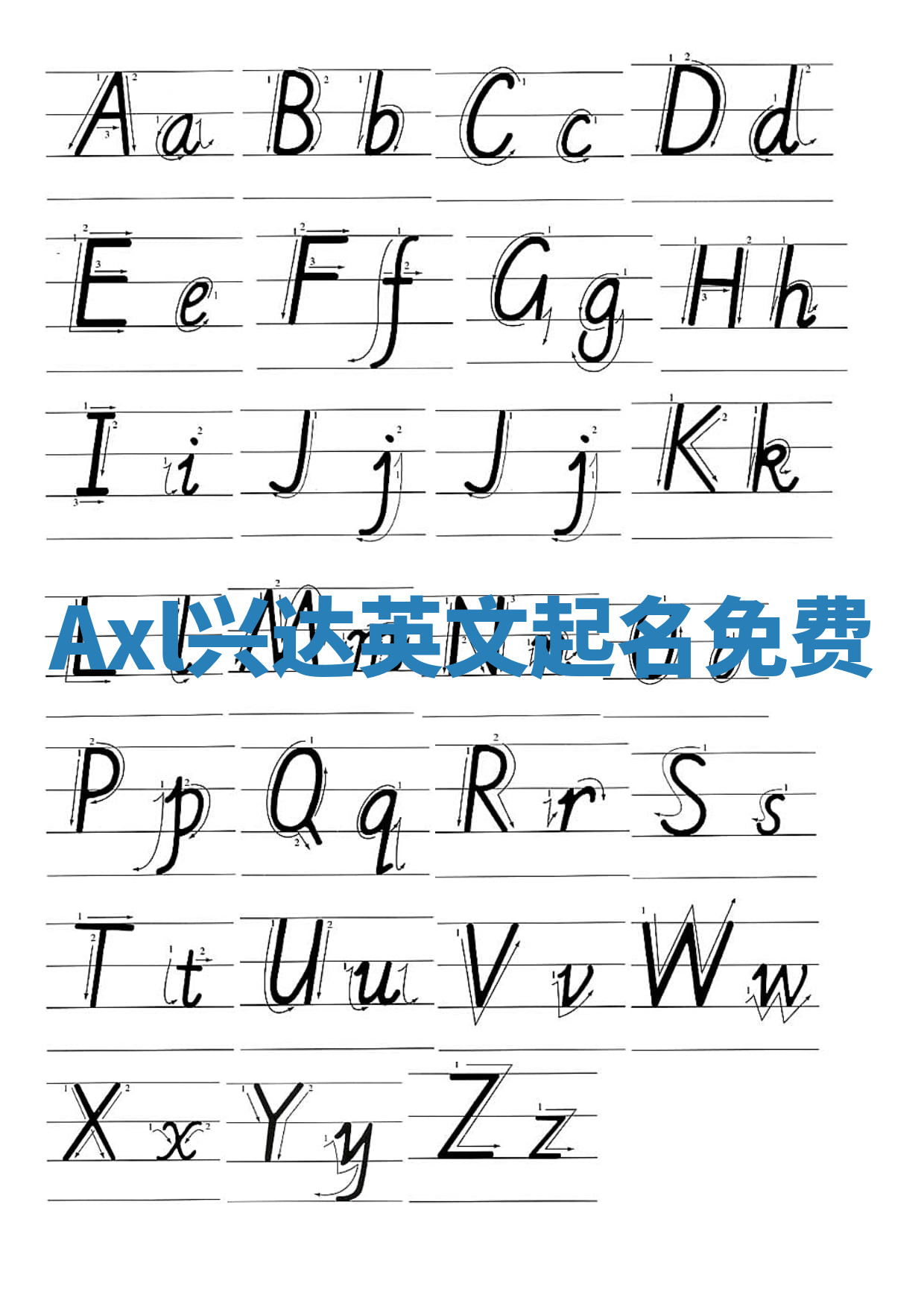 Axl兴达英文起名免费