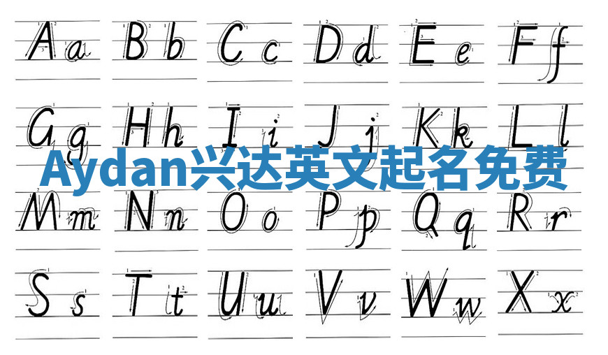 Aydan兴达英文起名免费