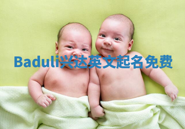 Baduli兴达英文起名免费