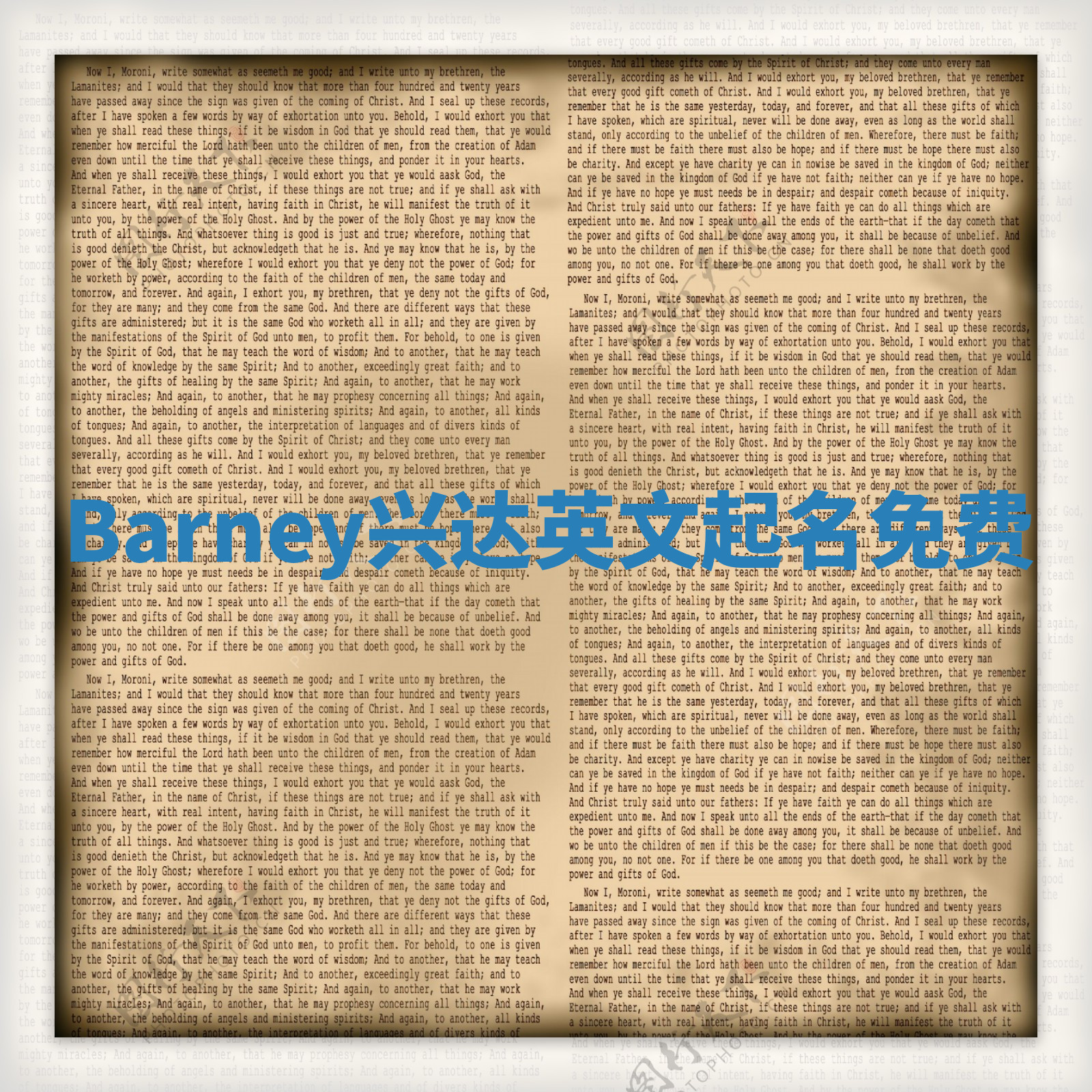 Barney兴达英文起名免费