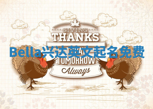 Bella兴达英文起名免费