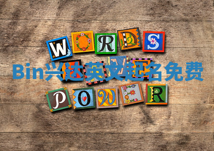 Bin兴达英文起名免费