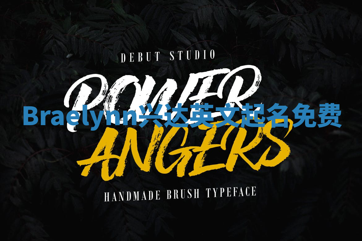 Braelynn兴达英文起名免费