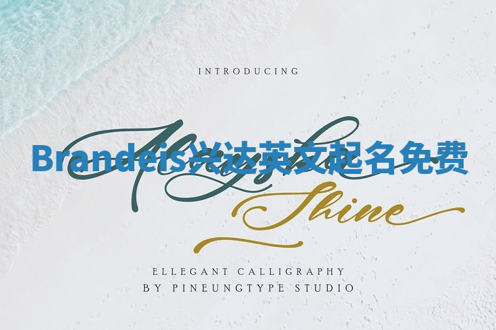 Brandeis兴达英文起名免费