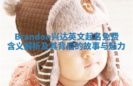 Brandon兴达英文起名免费含义解析及其背后的故事与魅力
