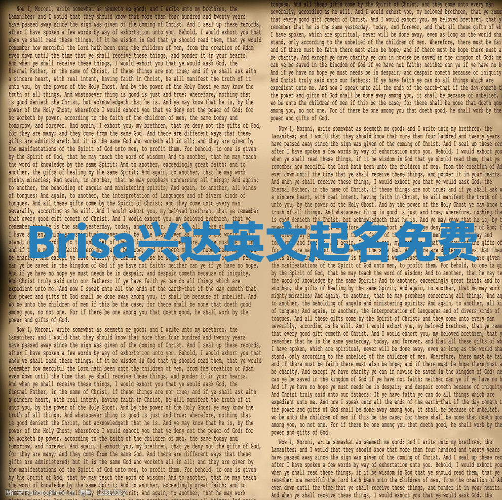 Brisa兴达英文起名免费