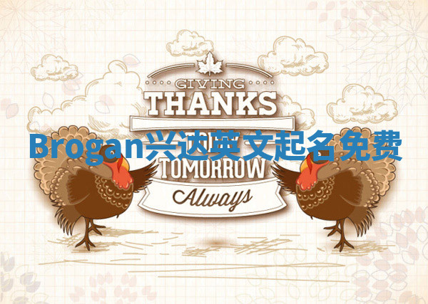 Brogan兴达英文起名免费