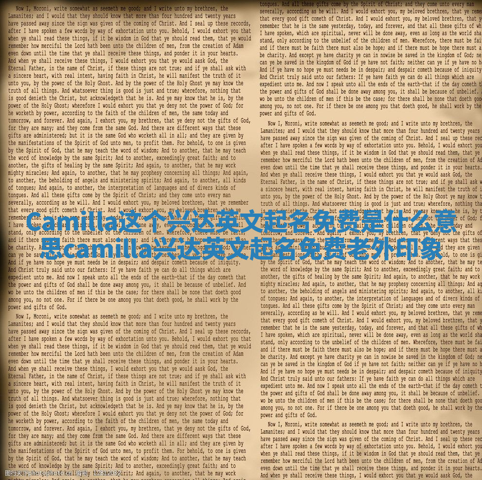 Camilla这个兴达英文起名免费是什么意思_camilla兴达英文起名免费老外印象