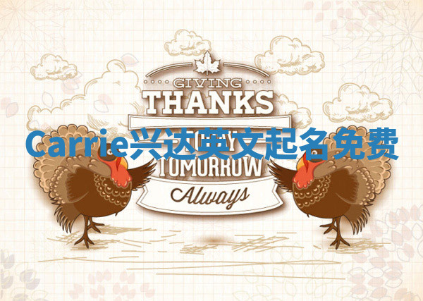 Carrie兴达英文起名免费
