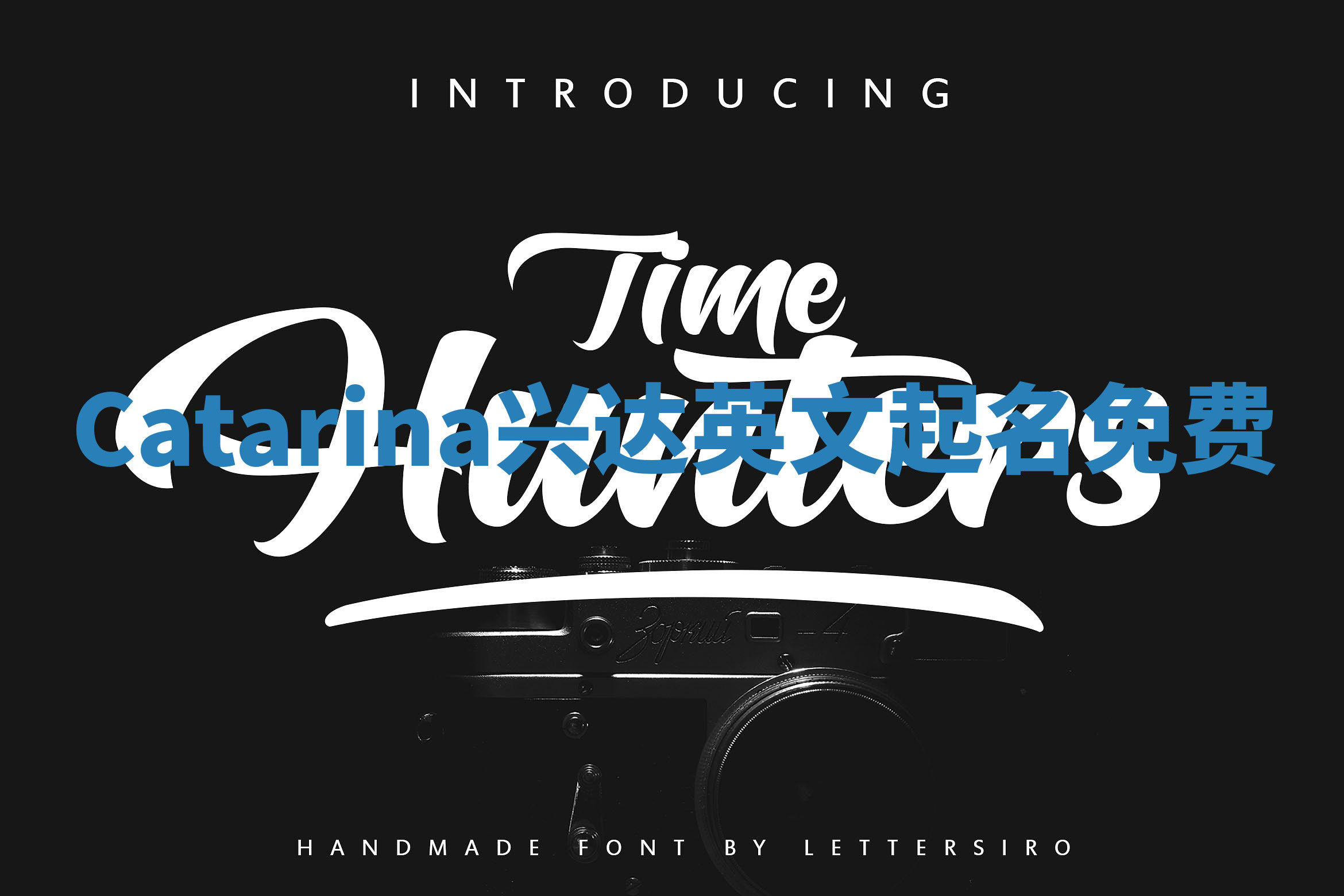 Catarina兴达英文起名免费