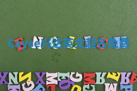 Cayse兴达英文起名免费 Cayse兴达英文起名免费