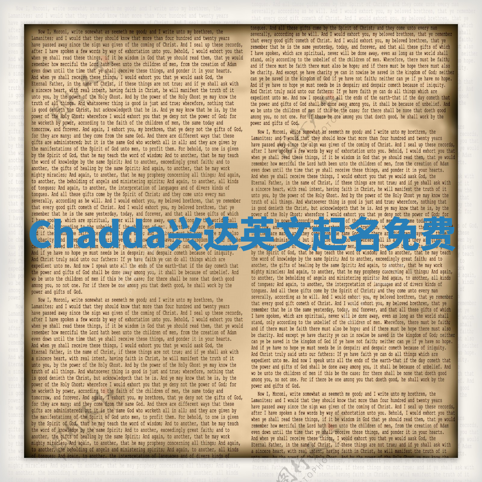 Chadda兴达英文起名免费