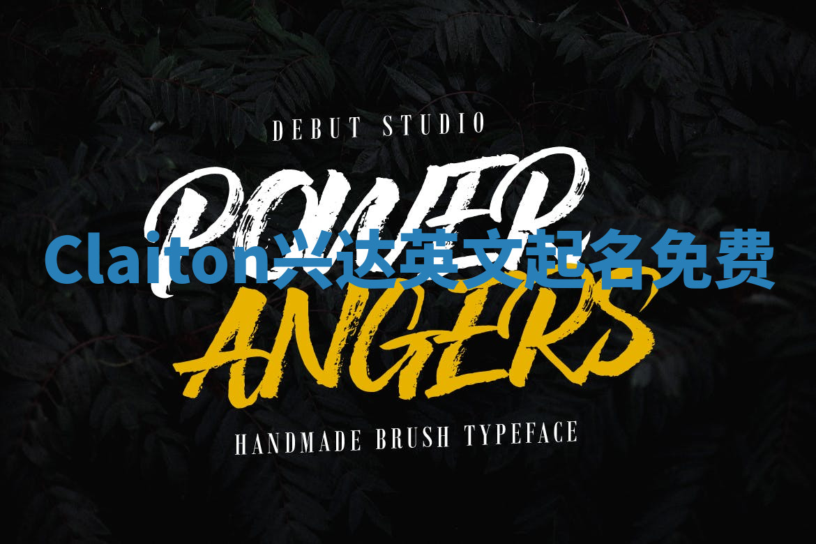 Claiton兴达英文起名免费