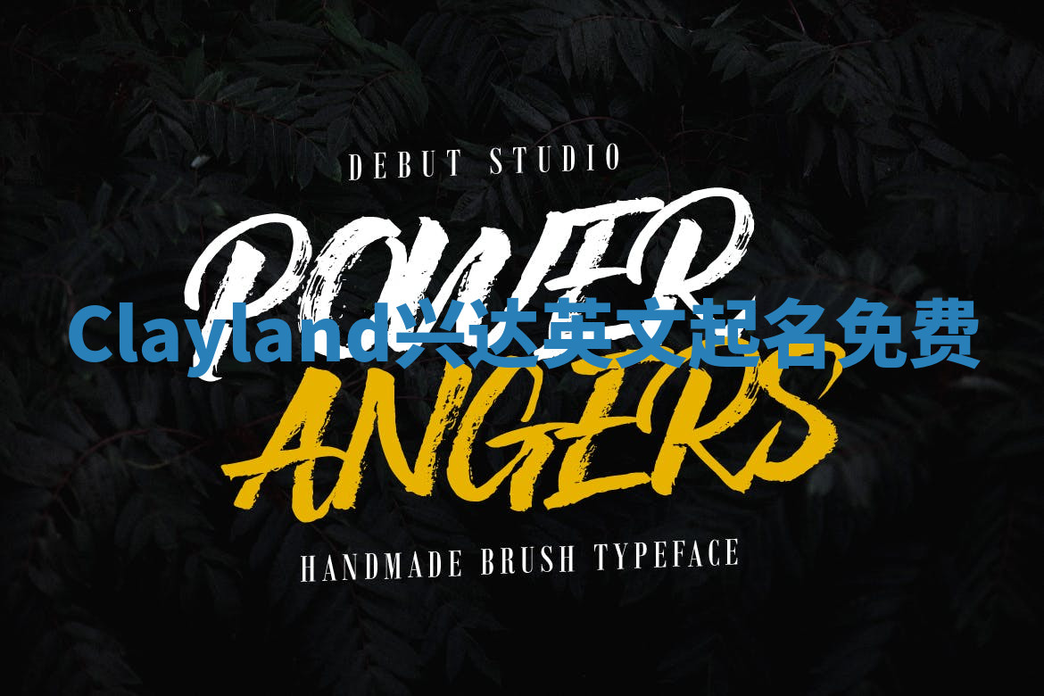 Clayland兴达英文起名免费