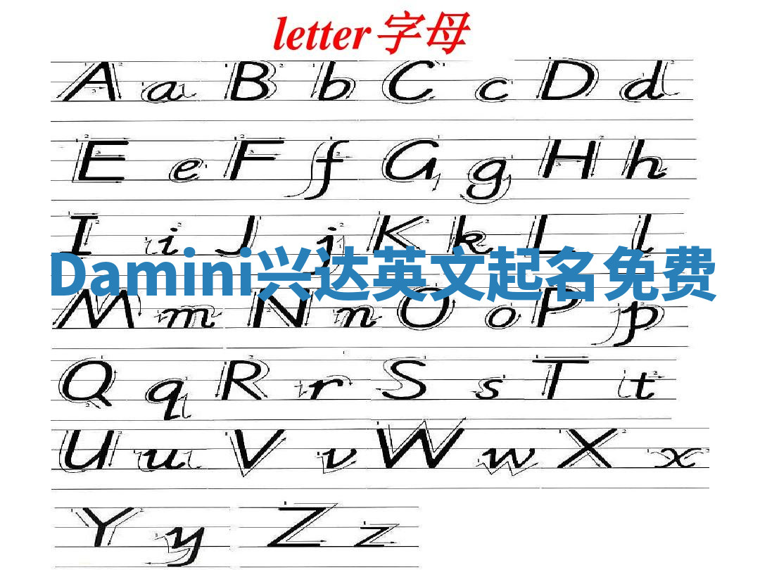 Damini兴达英文起名免费