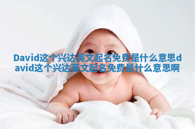 David这个兴达英文起名免费是什么意思 david这个兴达英文起名免费是什么意思啊