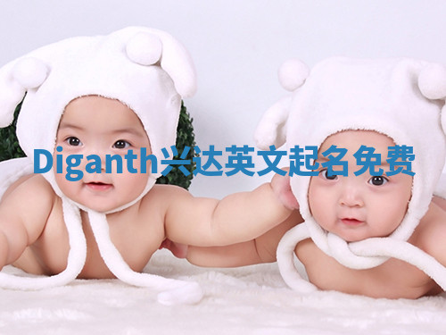 Diganth兴达英文起名免费