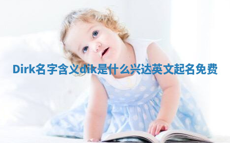 Dirk名字含义_dik是什么兴达英文起名免费