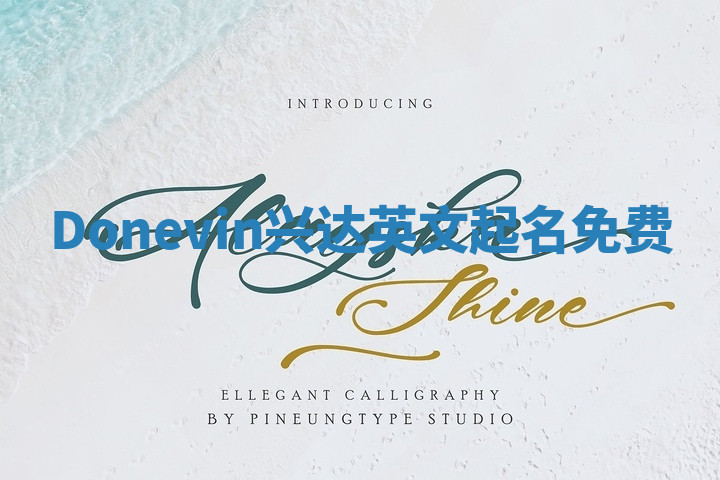 Donevin兴达英文起名免费