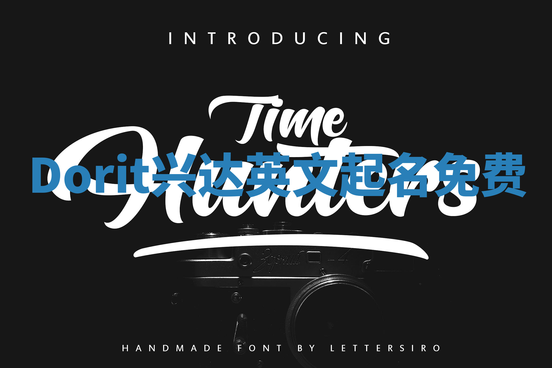 Dorit兴达英文起名免费