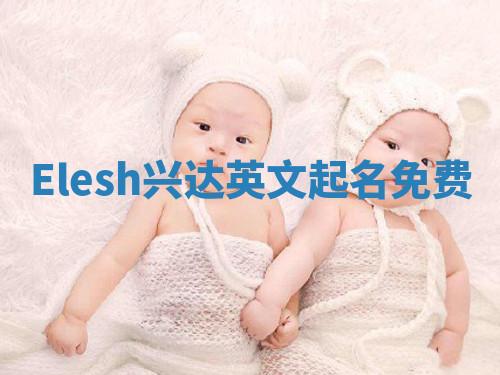 Elesh兴达英文起名免费
