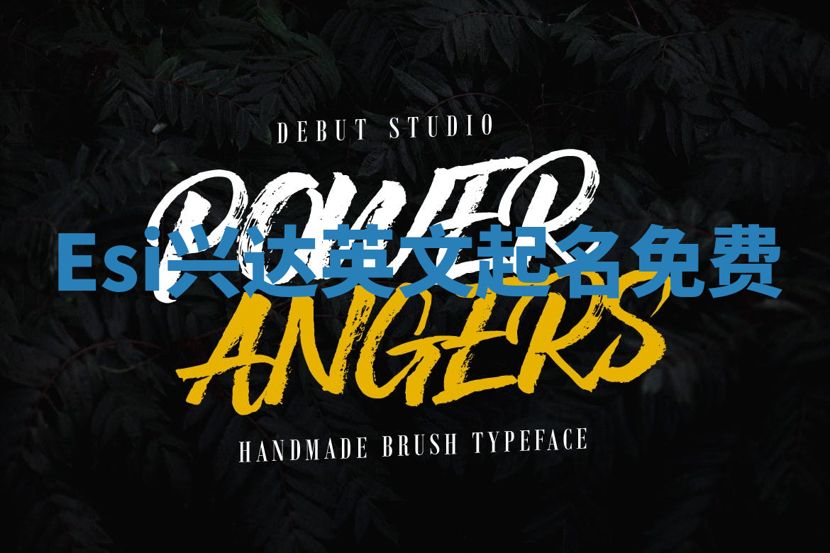 Esi兴达英文起名免费