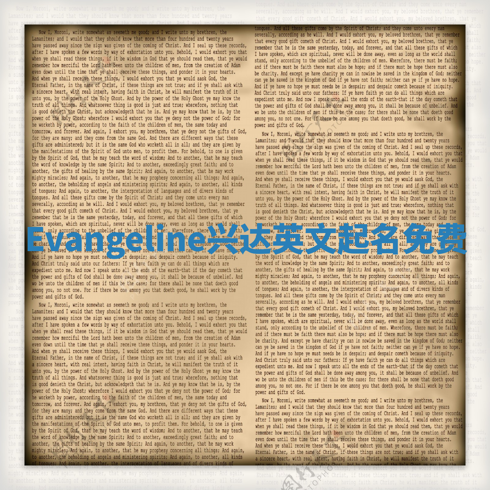 Evangeline兴达英文起名免费
