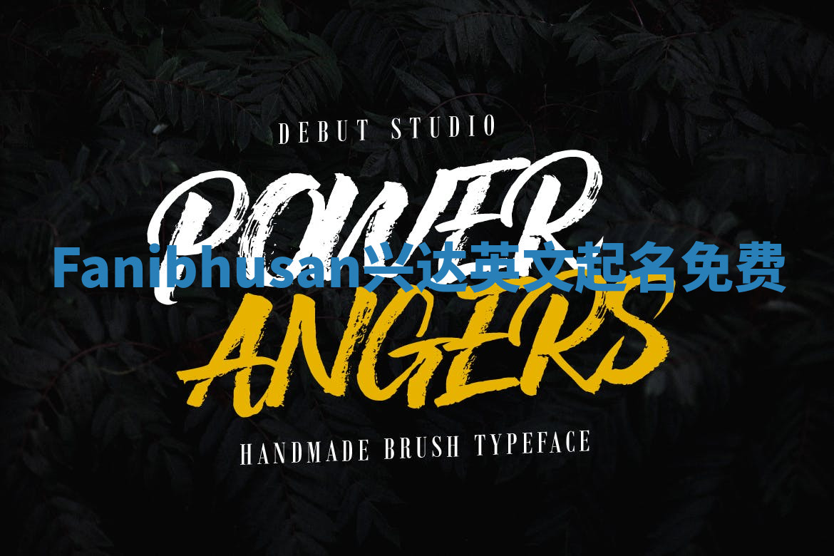 Fanibhusan兴达英文起名免费