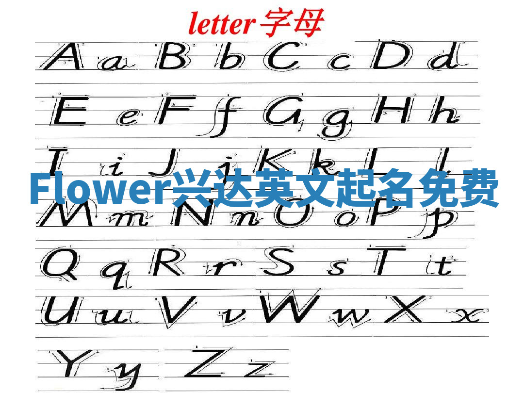 Flower兴达英文起名免费