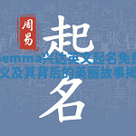 Gemma兴达英文起名免费含义及其背后的美丽故事揭秘
