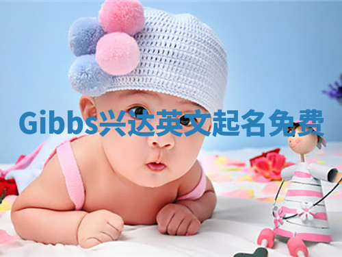 Gibbs兴达英文起名免费