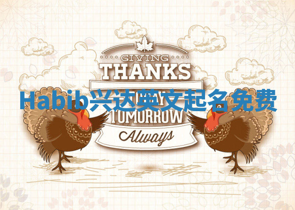 Habib兴达英文起名免费