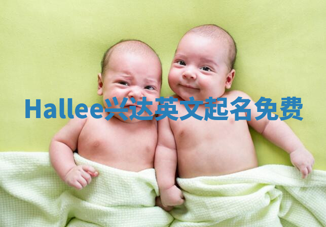 Hallee兴达英文起名免费
