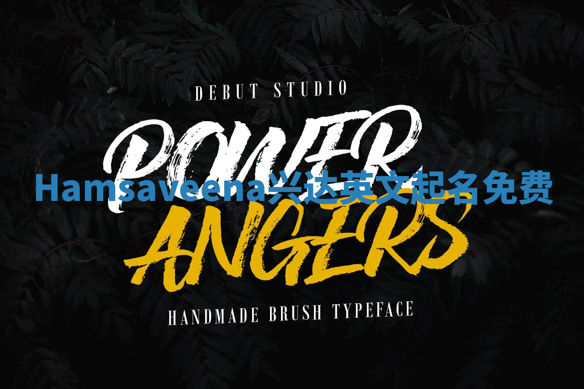 Hamsaveena兴达英文起名免费