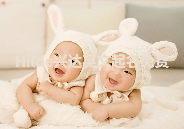 Hilde兴达英文起名免费