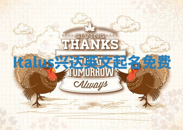 Italus兴达英文起名免费