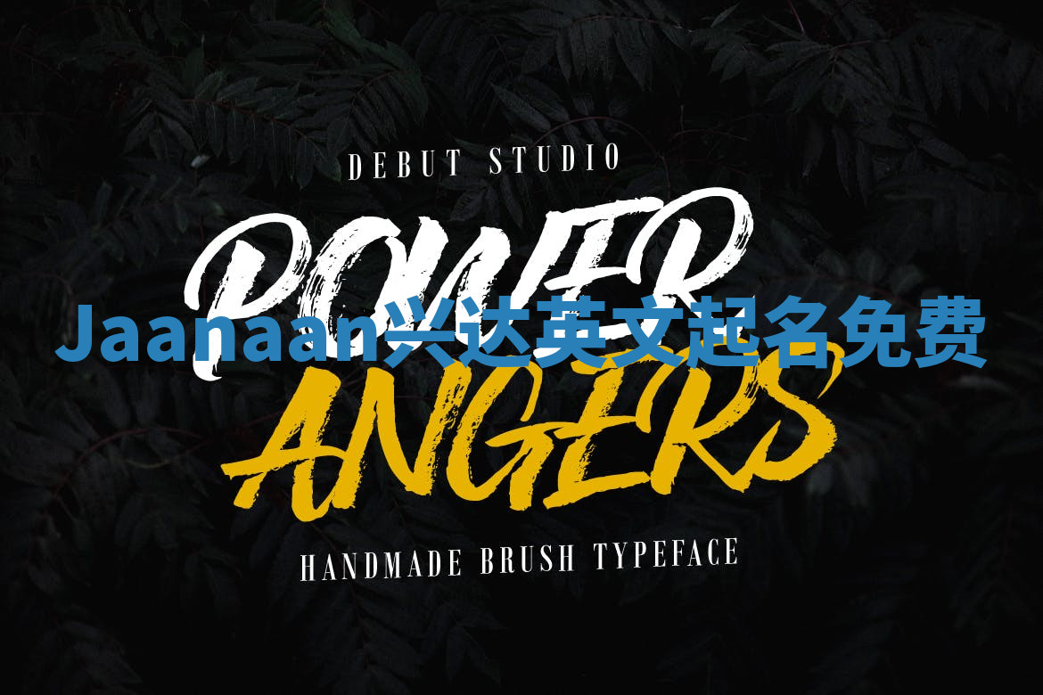 Jaanaan兴达英文起名免费