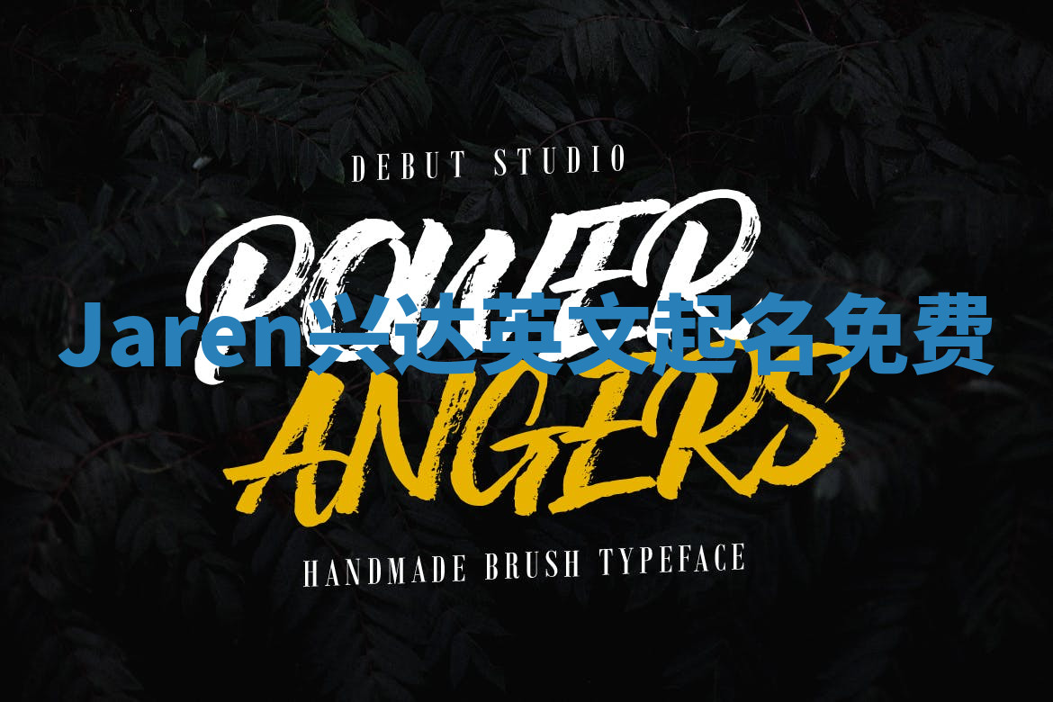 Jaren兴达英文起名免费