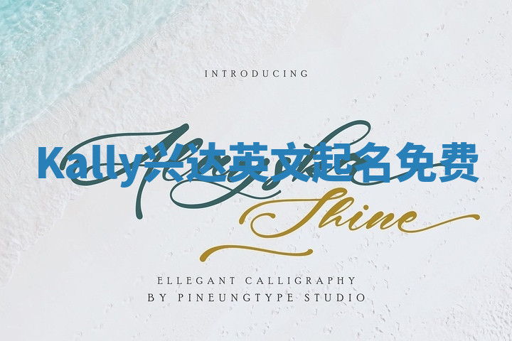 Kally兴达英文起名免费