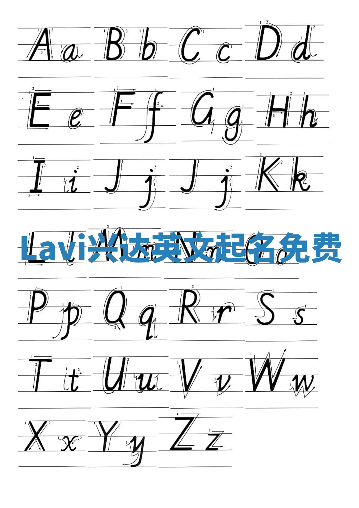 Lavi兴达英文起名免费