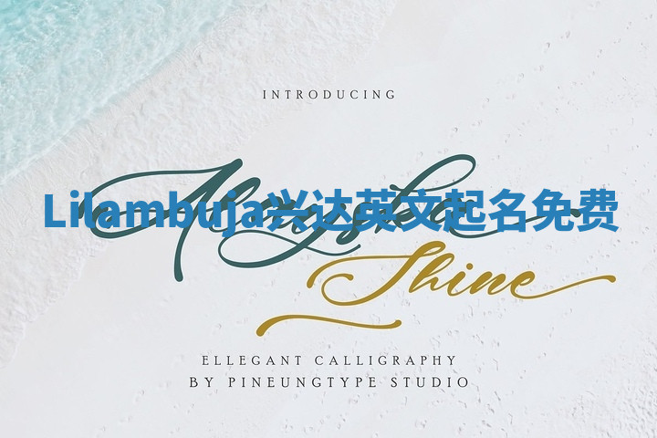 Lilambuja兴达英文起名免费