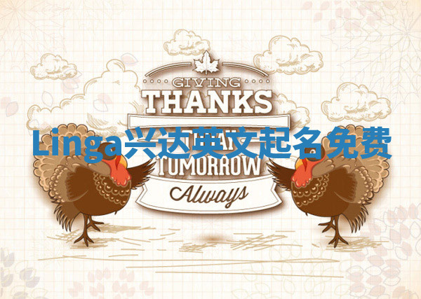 Linga兴达英文起名免费