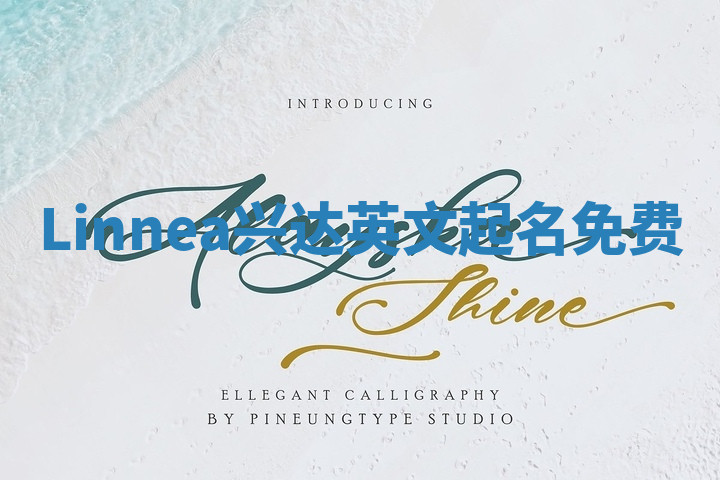Linnea兴达英文起名免费