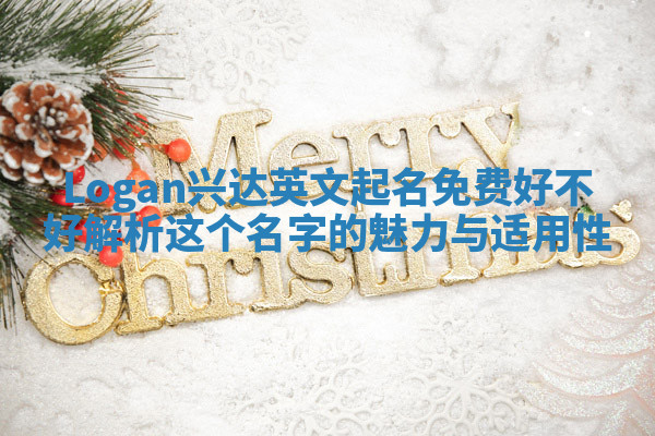 Logan兴达英文起名免费好不好 解析这个名字的魅力与适用性