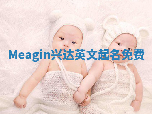 Meagin兴达英文起名免费