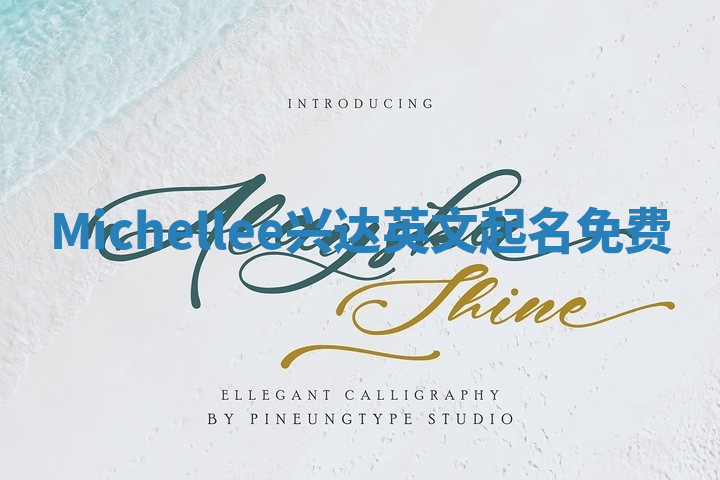 Michellee兴达英文起名免费
